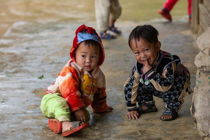 Trekking the Terraces: Scenic Sapa & Ethnic Village Discovery