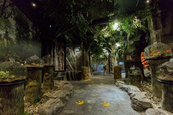 Entopia Butterfly and Nature Discovery Park Entry Ticket Penang
