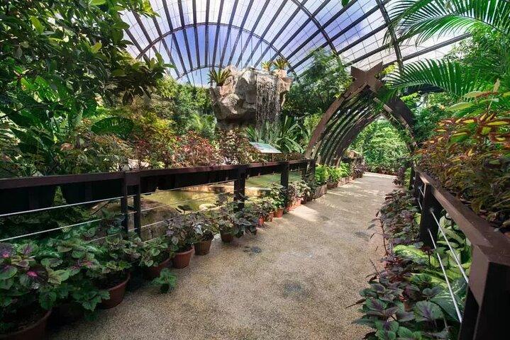 Entopia Butterfly and Nature Discovery Park Entry Ticket Penang