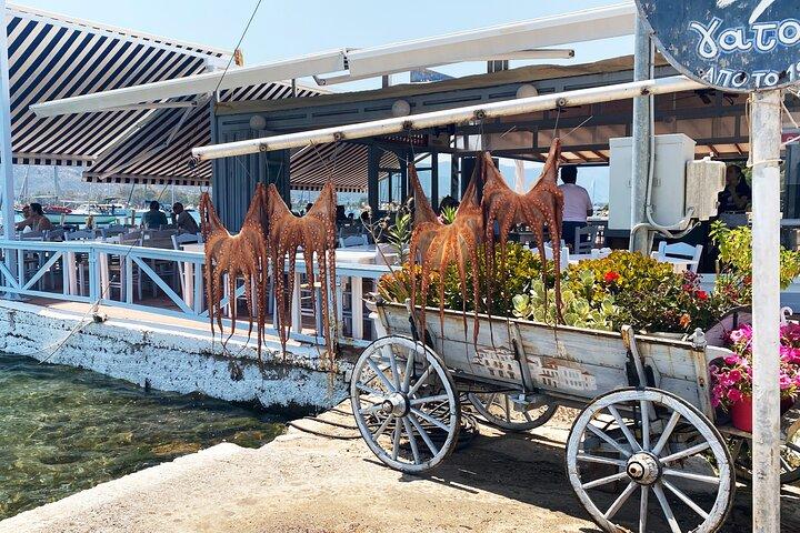 Poros Island Full Day Trip From Athens with Swimming