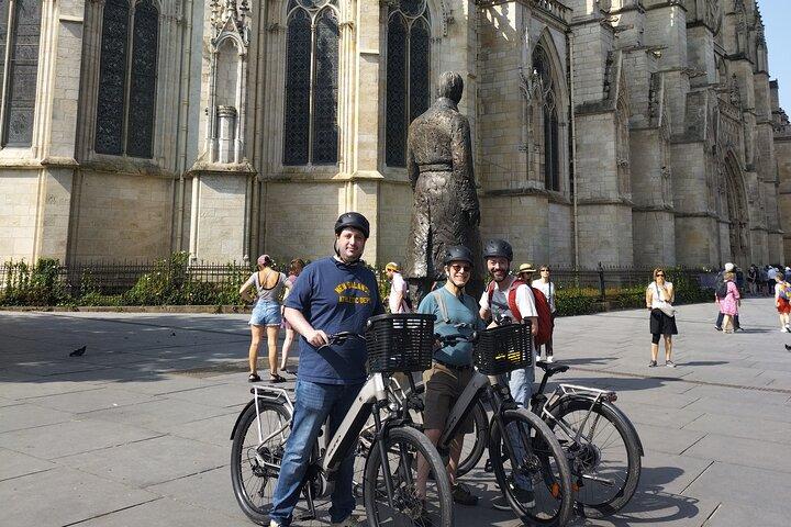 E-bike trip : From Bordeaux to Saint-Emilion with picnic lunch