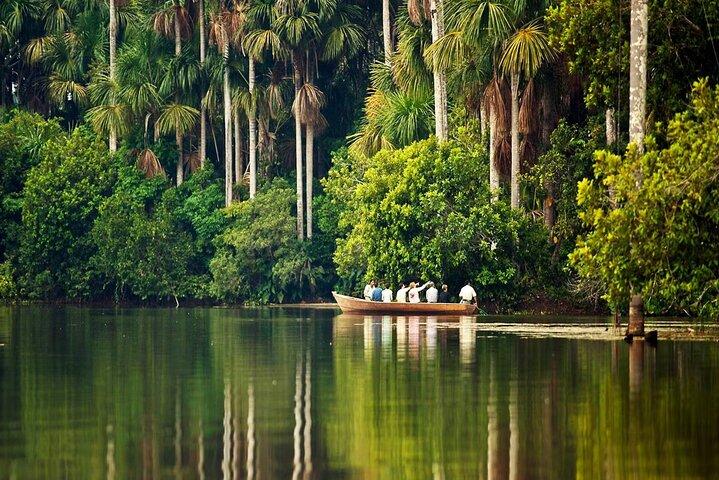 Lake Sandoval Wildlife Adventure in Tambopata National Reserve