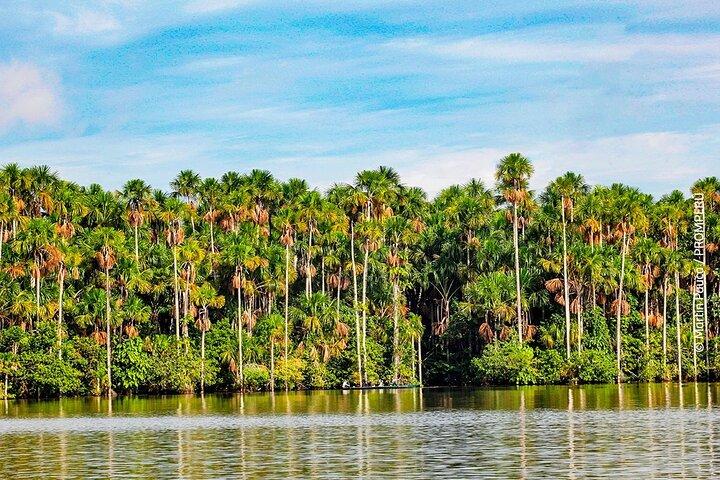 Lake Sandoval Wildlife Adventure in Tambopata National Reserve