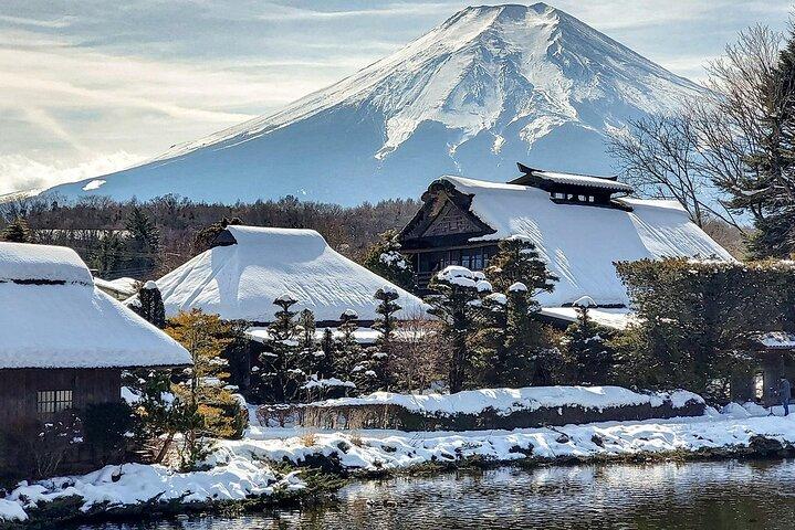 Custom Guided Day Tour to Mt. Fuji with English-Speaking Driver