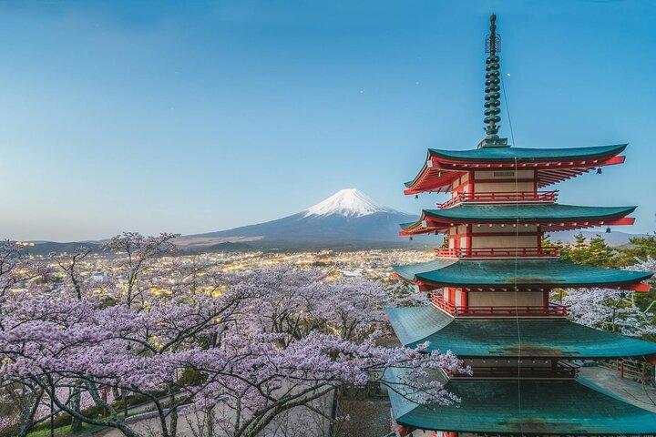 Custom Guided Day Tour to Mt. Fuji with English-Speaking Driver