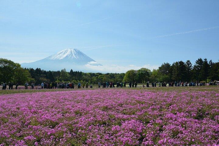 Custom Guided Day Tour to Mt. Fuji with English-Speaking Driver