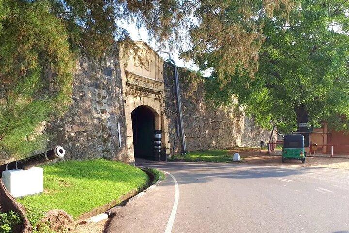 Trincomalee & Pigeon Island Day Tour with Seafood Lunch