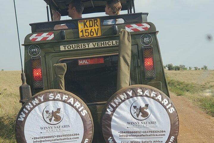4 Days Masai Mara and Lake Nakuru Group Safari From Nairobi