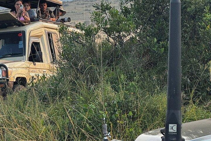 4 Days Masai Mara and Lake Nakuru Group Safari From Nairobi
