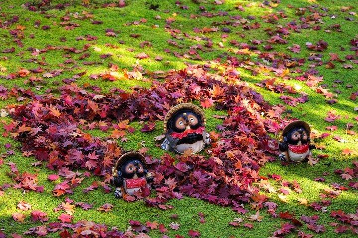 Kyoto Arashiyama Easy Walk Tour