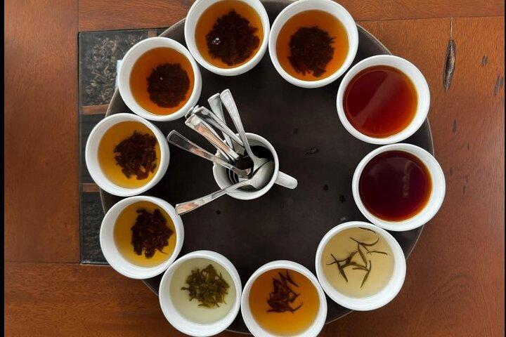 Nuwaraeliya Tea Factory and WaterFall Tour’s With DMJ Tours
