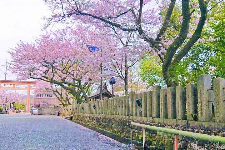 Kyushu Kumamoto and Mt. Aso Volcano Castle Day Tour From Fukuoka