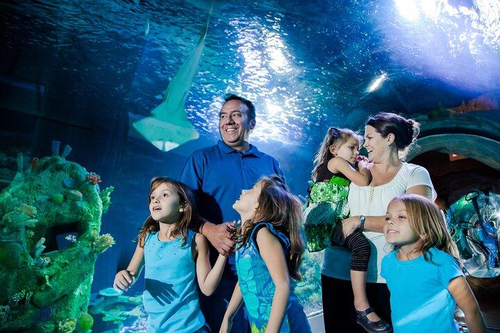SEA LIFE Aquarium Arizona Admission Ticket