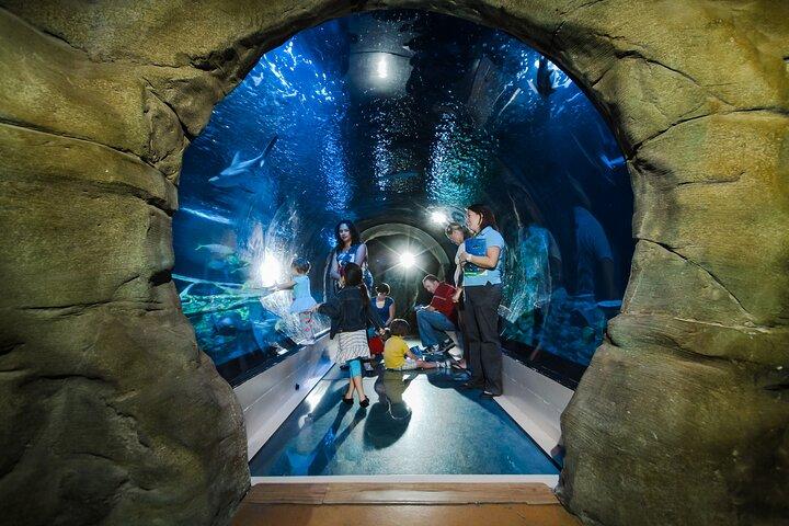 SEA LIFE Aquarium Arizona Admission Ticket