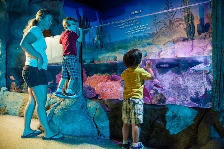 Sea Life Charlotte Concord Aquarium Admission Ticket