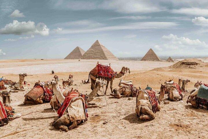 The Pyramids of giza
