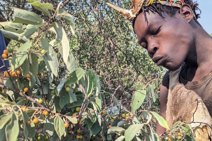 Day Trip to Hadzabe Tribe and Maasai Village Tour