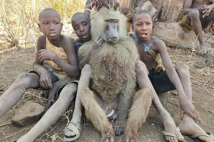 Day Trip to Hadzabe Tribe and Maasai Village Tour