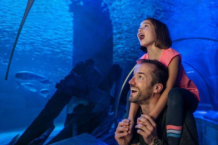 SEA LIFE Aquarium San Antonio Admission Ticket