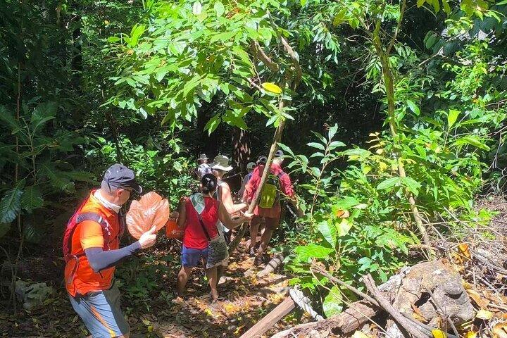 Puerto Princesa Underground River Guided Trekking Tour