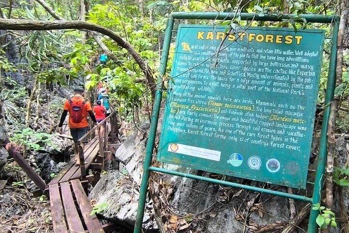 Puerto Princesa Underground River Guided Trekking Tour