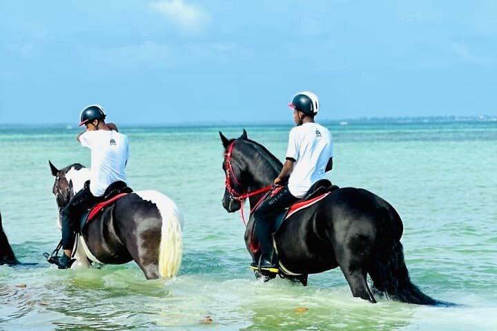 Horseback Journey 1.00 Hour of Nature