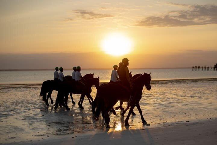 Horseback Journey 1.00 Hour of Nature