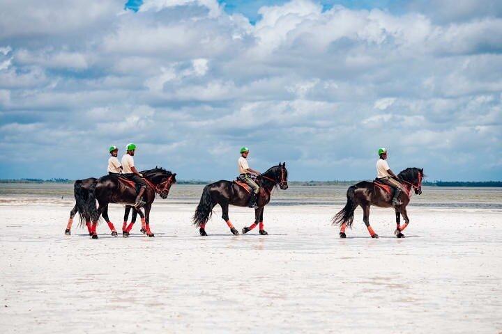 Horseback Journey 1.00 Hour of Nature