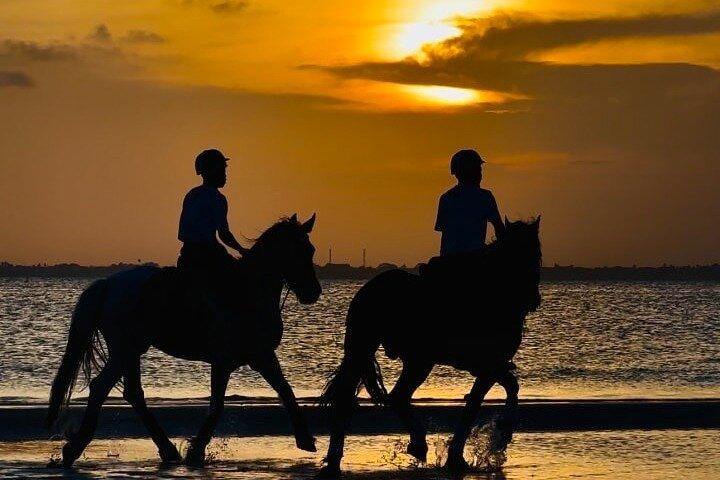 Horseback Journey 1.00 Hour of Nature