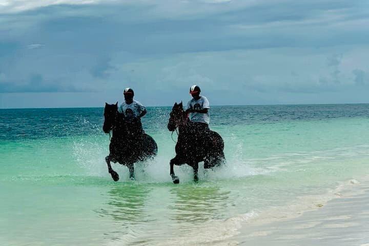 Horseback Journey 1.00 Hour of Nature