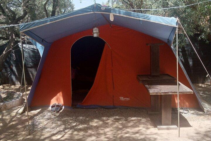 Day Trek & One night in Eco camp experience atlas mountain
