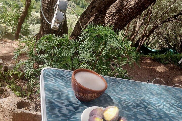 Day Trek & One night in Eco camp experience atlas mountain