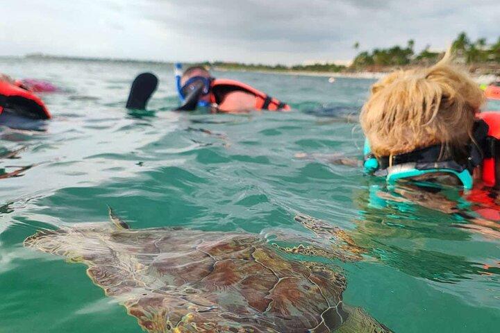 Cenote and Swimming with Turtles Private Tour in Akumal