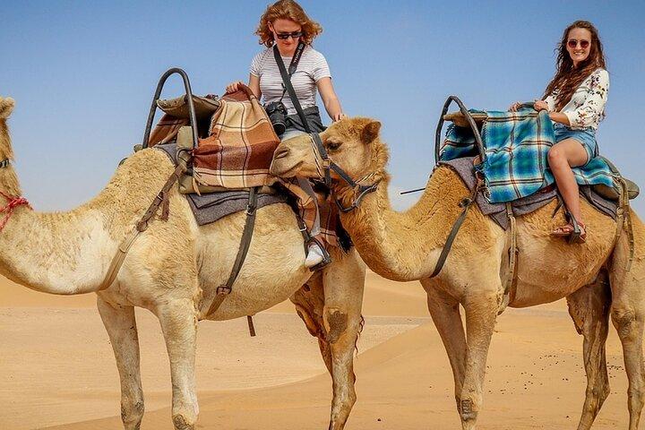 Marrakech: Agafay Desert Camel Ride & Dinner, Fire Show & sunset