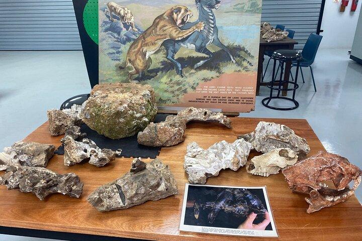 Cradle of Humankind Tour: Sterkfontein Caves & Maropeng