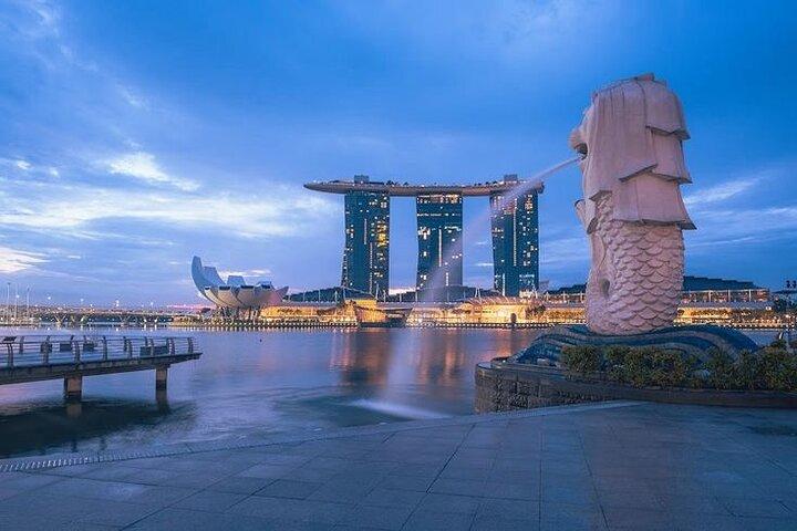 Singapore Nocturnal Night Cruise , Garden Rhapsody & Spectra