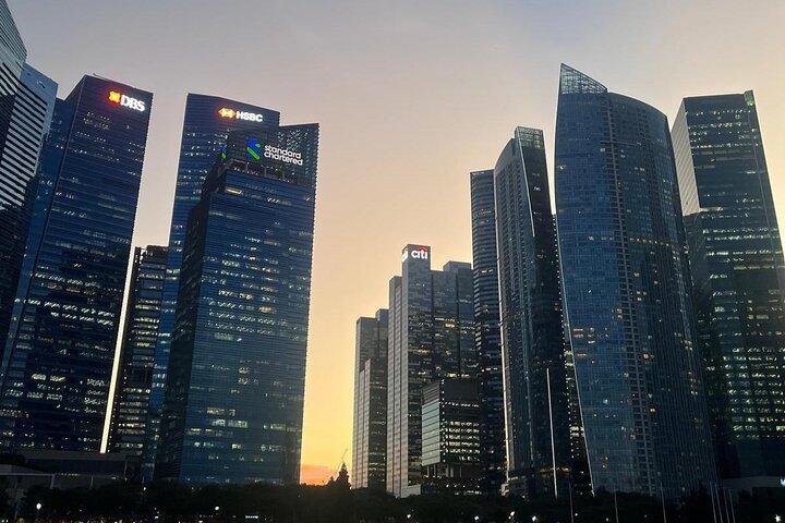 Singapore Nocturnal Night Cruise , Garden Rhapsody & Spectra