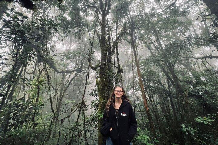 Cameron highlands Mossy Forest Halfday Tour (Shared Tour)