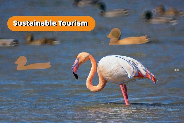 The Original Albufera Tour: Barraca, Boat Ride & Local Guide