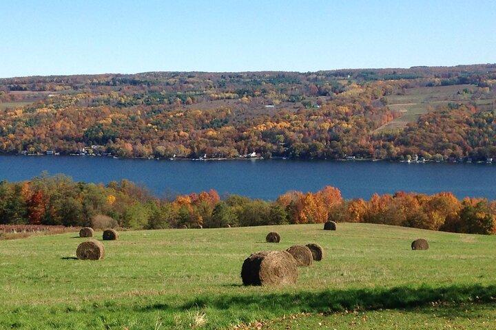 Seneca Lake Wine Tour - Customizable