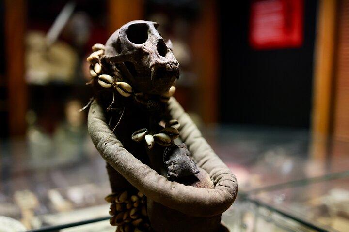 Dublin Museum of Curiosities