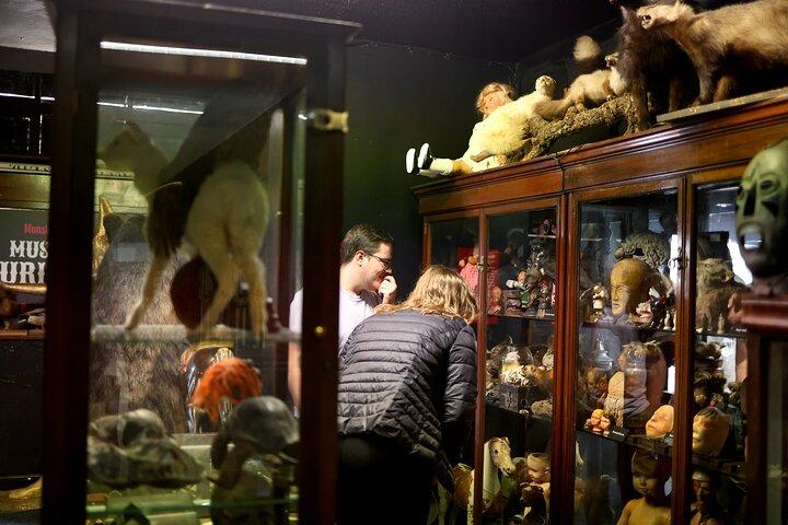 Dublin Museum of Curiosities