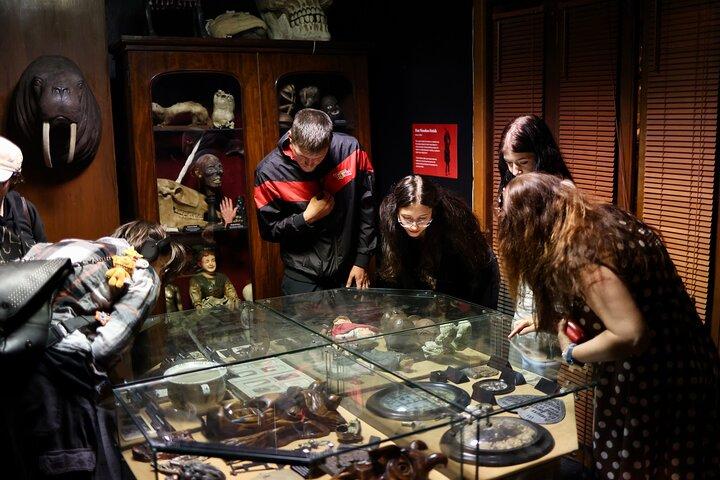 Dublin Museum of Curiosities