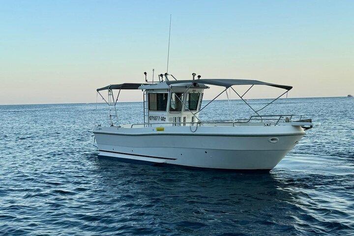 Brijuni Dolphin and Sunset Boat Tour from Pula
