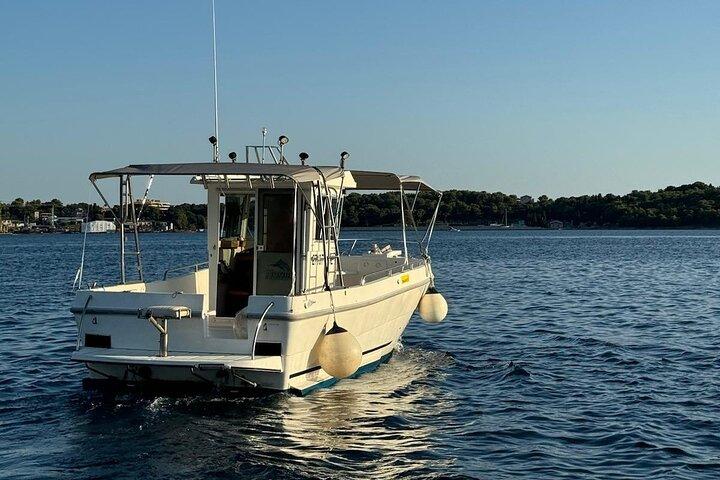 Brijuni Dolphin and Sunset Boat Tour from Pula