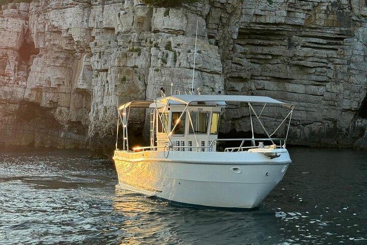 Brijuni Dolphin and Sunset Boat Tour from Pula