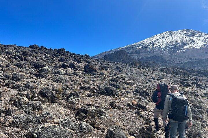 8 Days Kilimanjaro Climbing Lemosho Route
