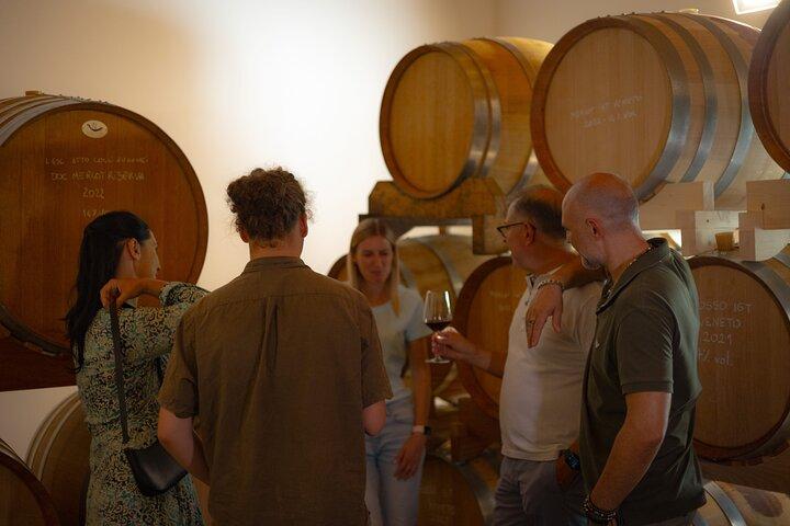 DA Padova: Wine tour in the Euganean Hills