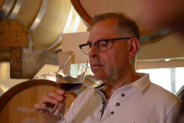 DA Padova: Wine tour in the Euganean Hills