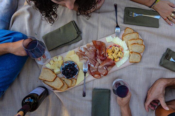 From Abano and Montegrotto: Wine Tour in the Euganean Hills